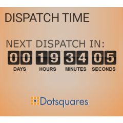 Shipping Dispatch Timer