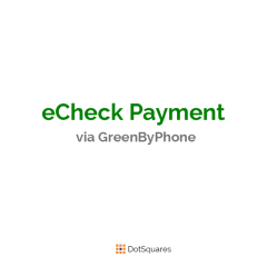 Process eCheck Payments